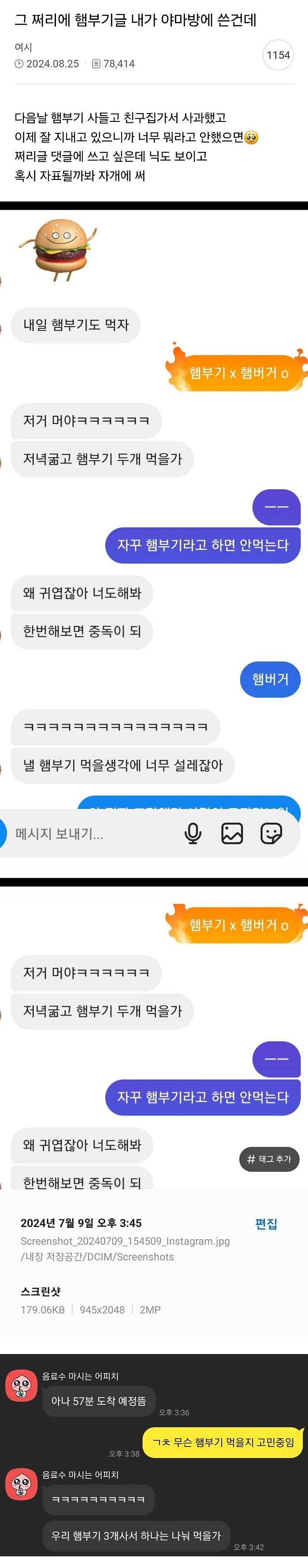 햄부기 사건 결과...