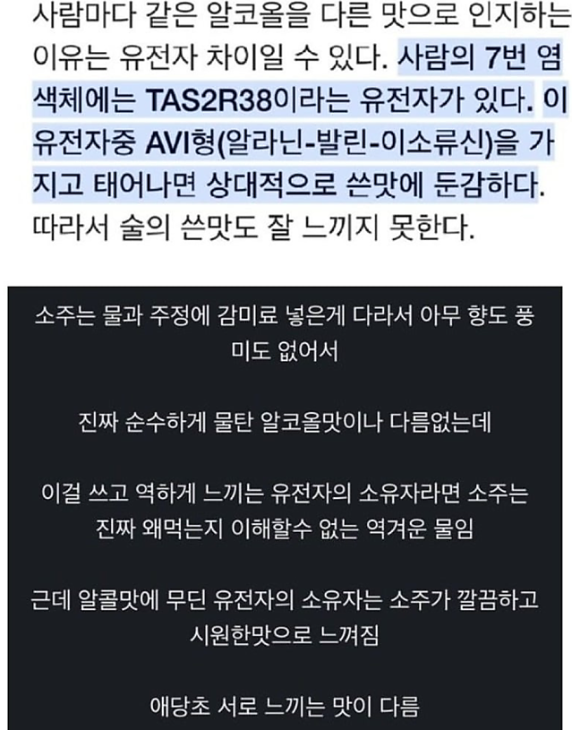 소주가 쓴 이유에 대한 양대 학설