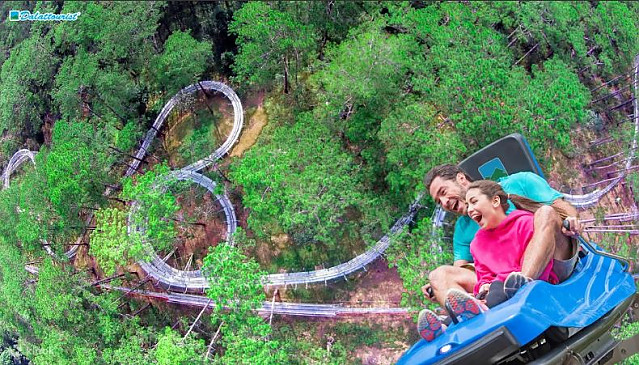 [달랏] 달랏 다딴라 알파인 코스터 체험