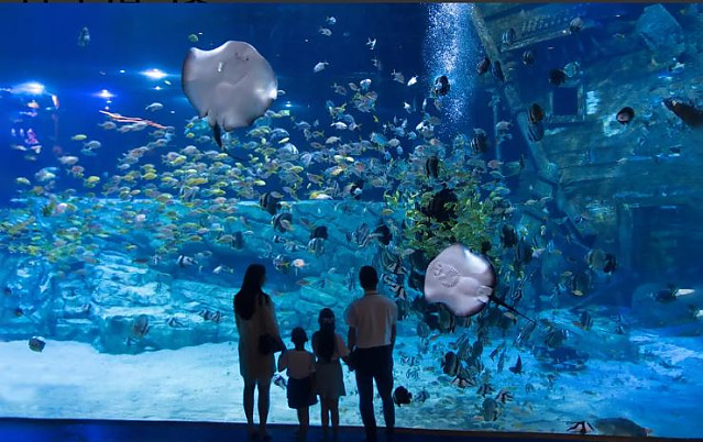 하노이 롯데월드 아쿠아리움