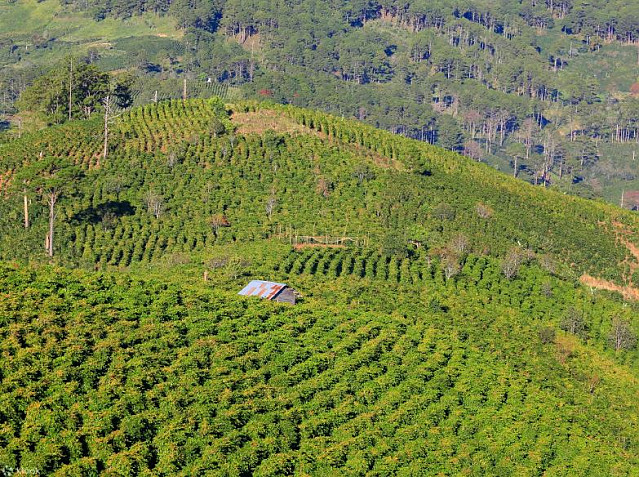 [달랏 무이네] 2일간의 달랏 출발 무이네 오토바이 투어