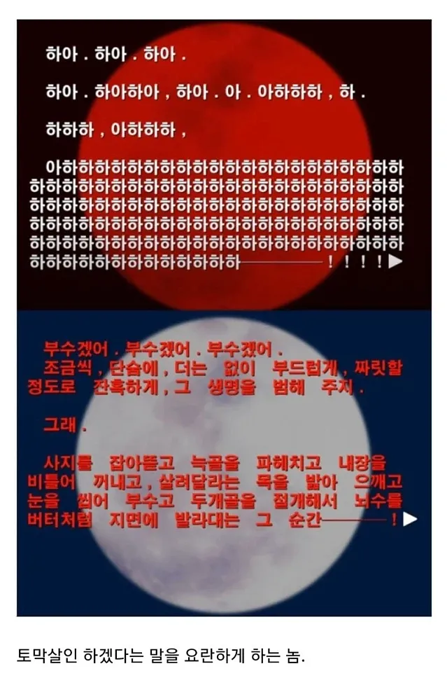 타입문 세계관 가짜광기 vs 진짜 광기