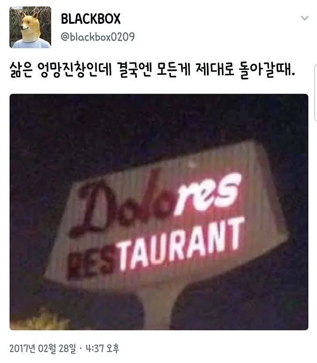 삶이 엉망진창이 되버려도