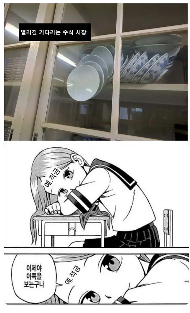 이제야 내 쪽을 보는구나?