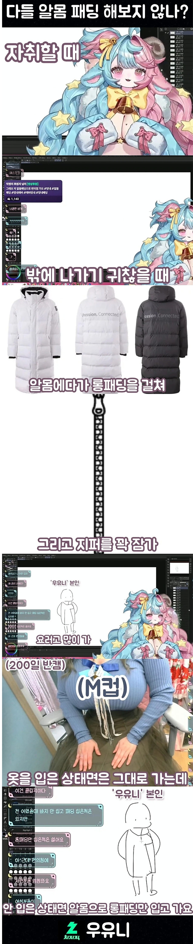 다들 알몸 롱패딩 한번은 해보지 않느냐는 M컵 버튜버