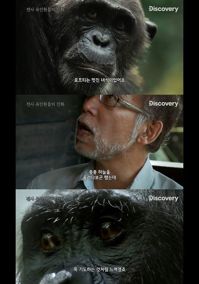 종교 테크 타기 시작한 거 같은 유인원