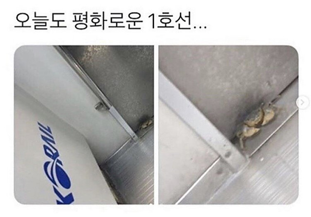 모험과 낭만이 넘치는 1호선 던전과 용사들