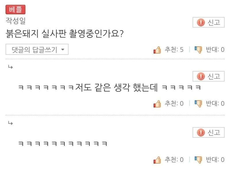 pig.jpeg 곽튜브 빠니보틀 근황