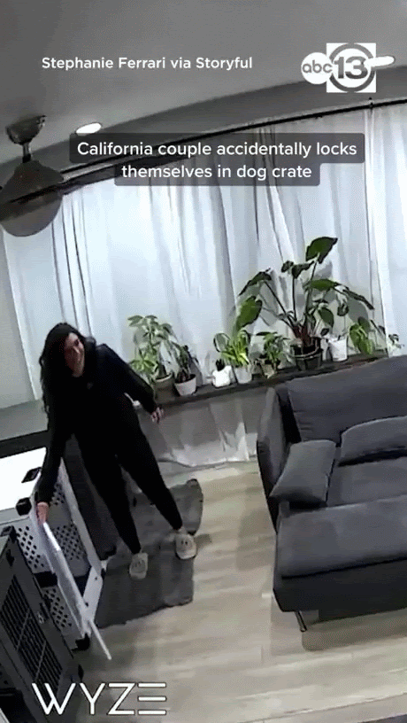 개집에서 죽을 뻔 한 커플