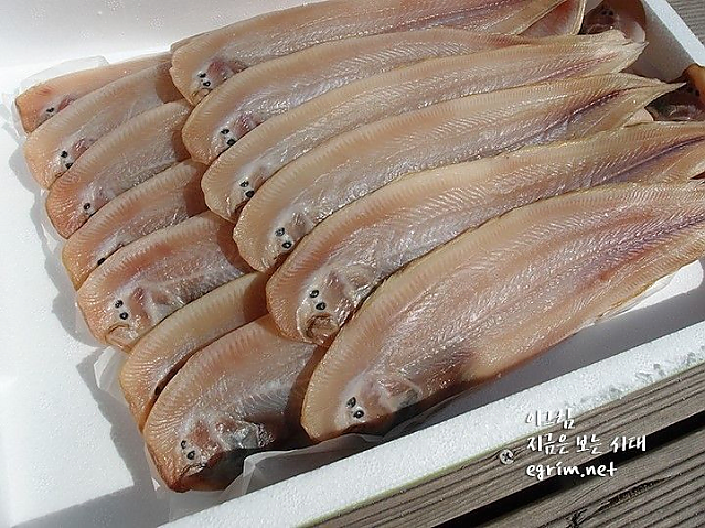 너무 성의없는 지자체 마스코트