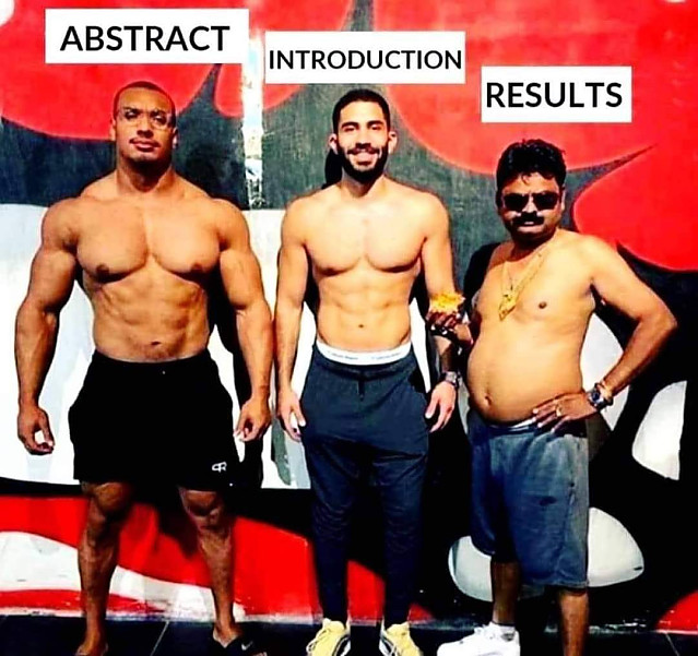 논문 내용을 상징적으로 보여주는 짤