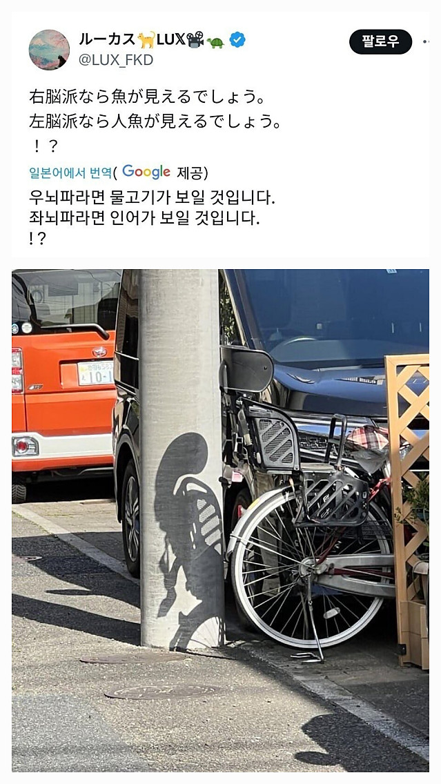 좌뇌파와 우뇌파가 다르게 보인다는 사진