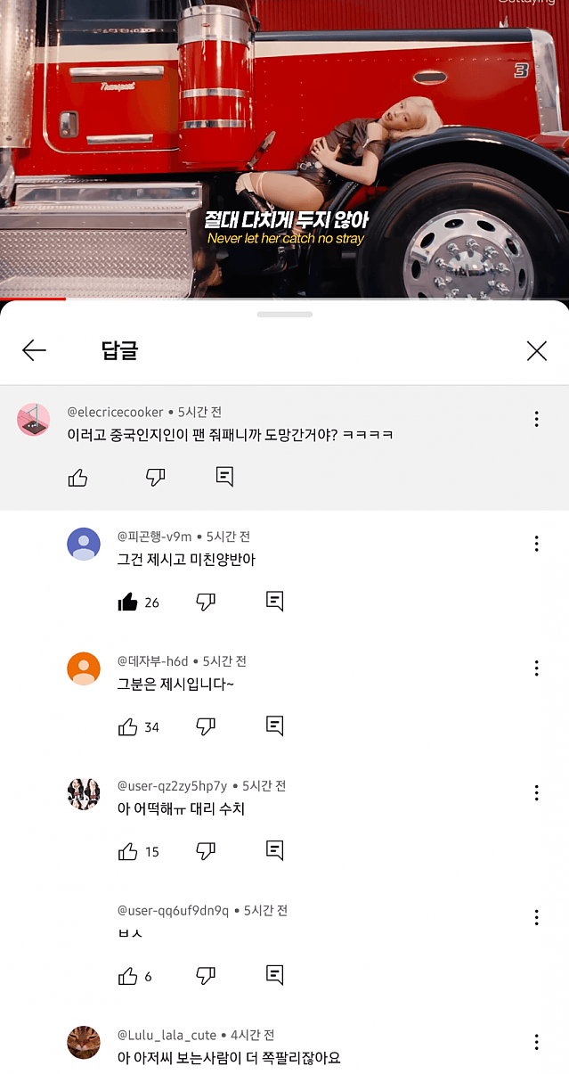 최근 컴백한 블랙핑크 제니 유트브 댓글 근황