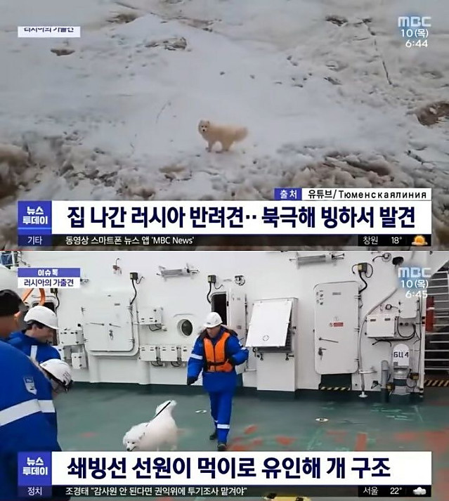 북극에서 발견된 생명체