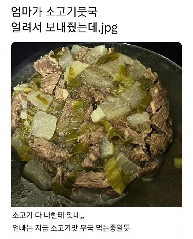 엄마가 소고기뭇국 얼려서 보내줬는데..