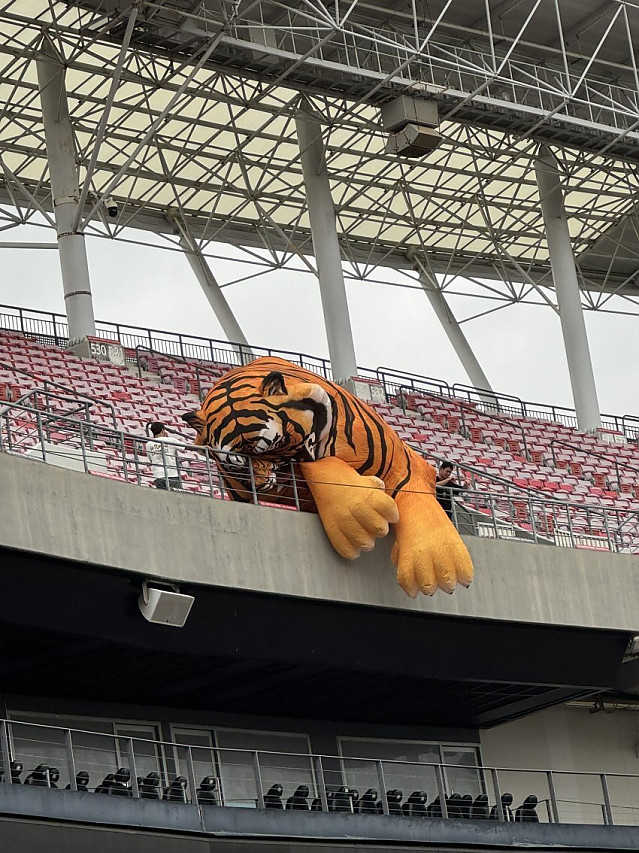 KIA 타이거즈 챔필 호랭이 근황