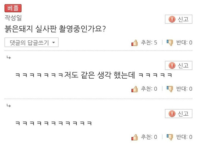 곽튜브 빠니보틀 근황