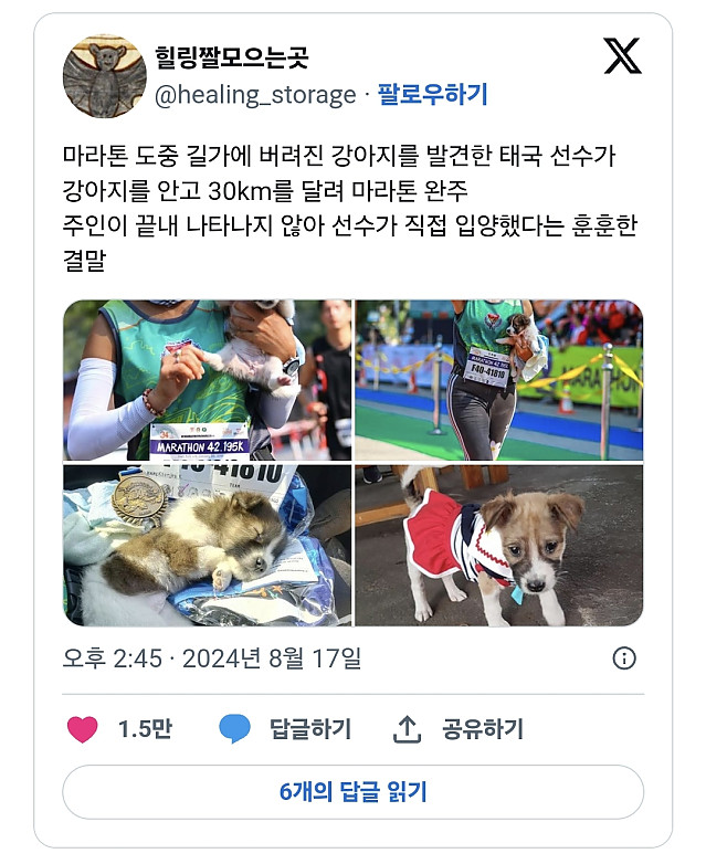 그럼 제가 데려가서 키울까합니다