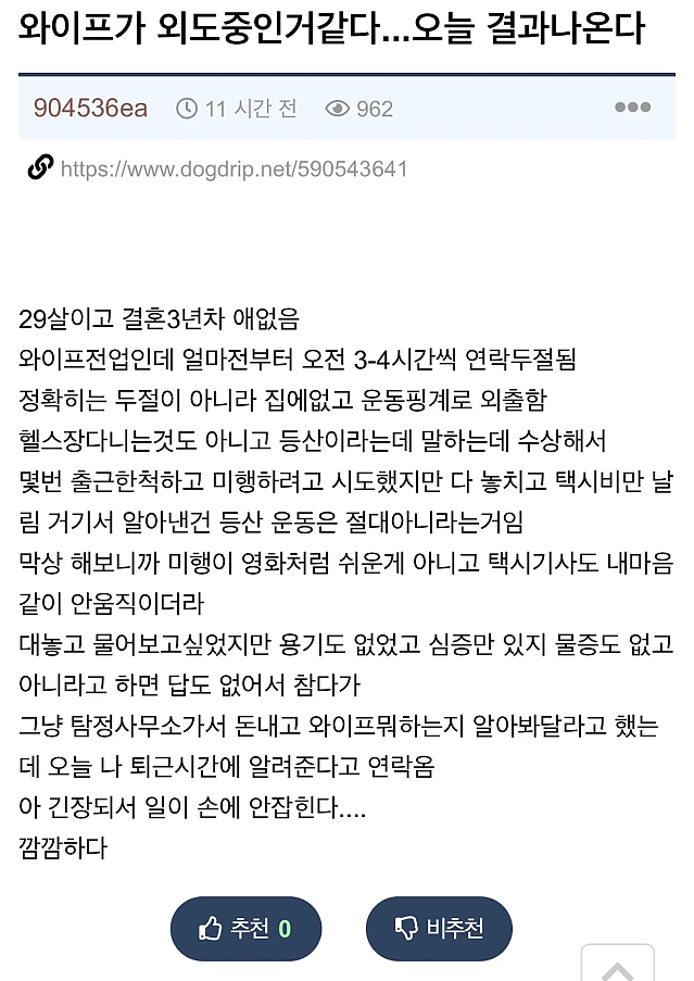 와이프가 외도 중인 것 같다... 오늘 결과 나온다