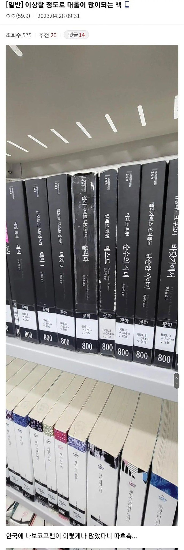 이상할 정도로 대출이 많이 되는 책