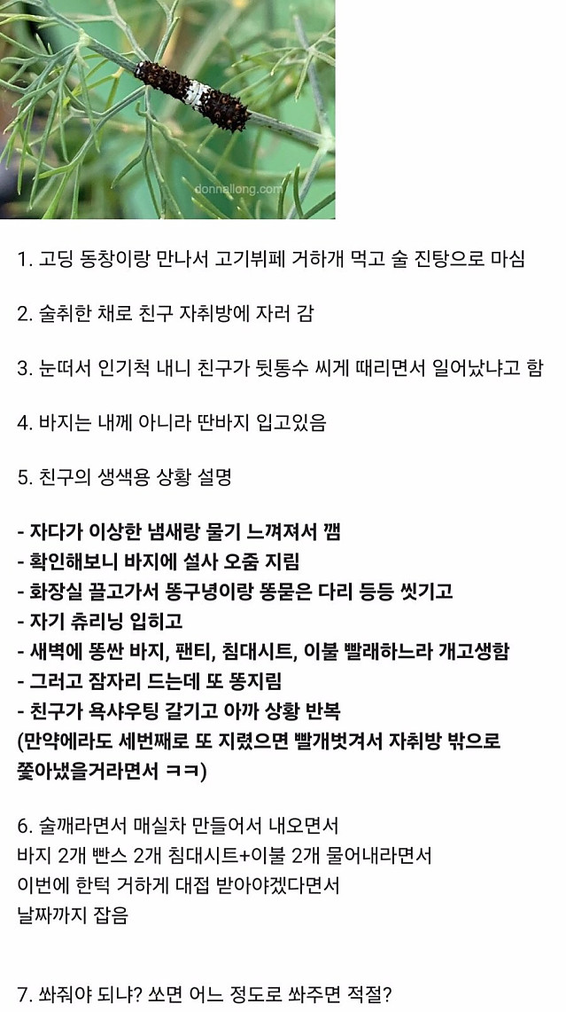 친구 자취방에서 똥쌌다고 한턱 쏘라네요