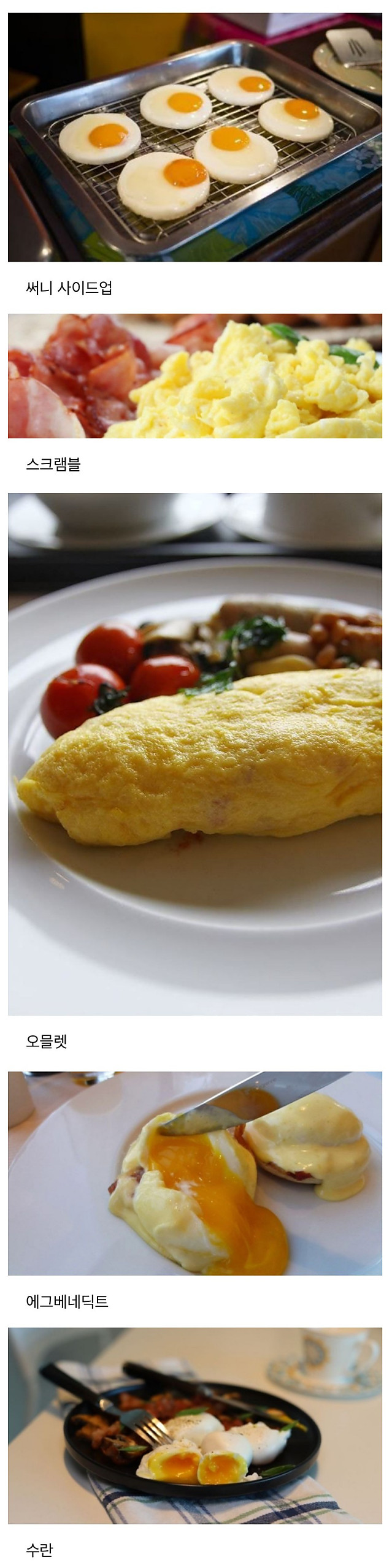 사람마다 갈린다는 호텔조식 달걀요리 취향