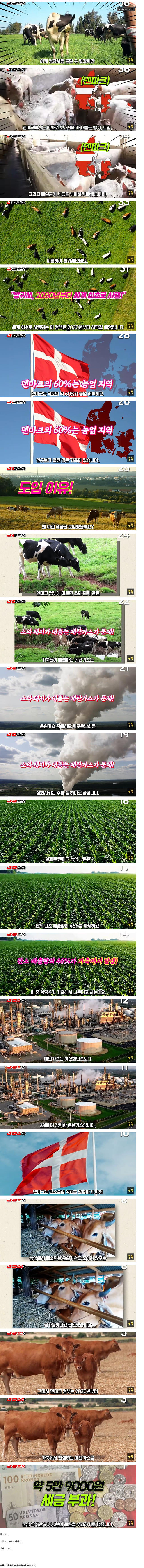 세계 최초로 방귀에 세금을 매긴다는 '덴마크'