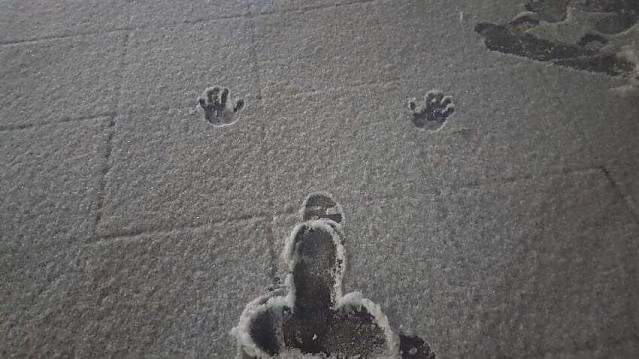 [약후] 아이고 눈왔더니 넘어졋네