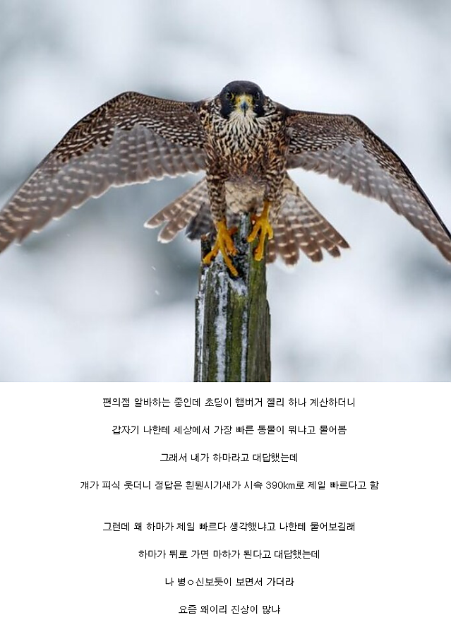 편의점 진상