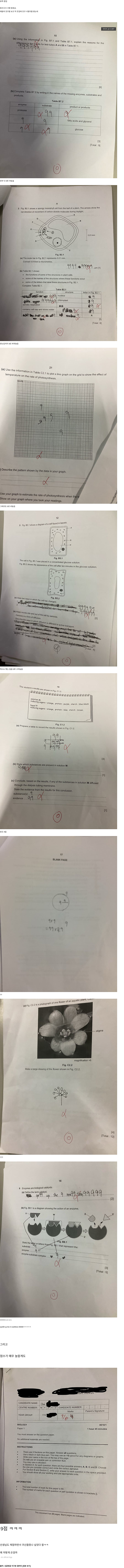 친구의 레전드 시험지