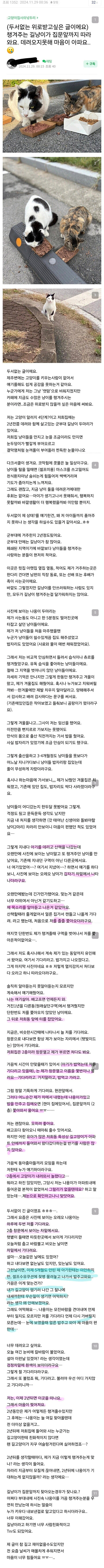 아기 젖병물려놓고 길고양이 밥주러나간 캣맘