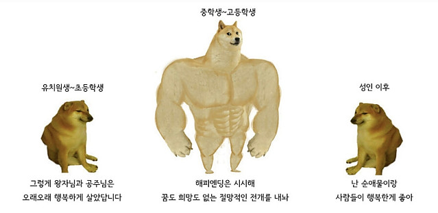 나이먹으면 바뀌는 성향.