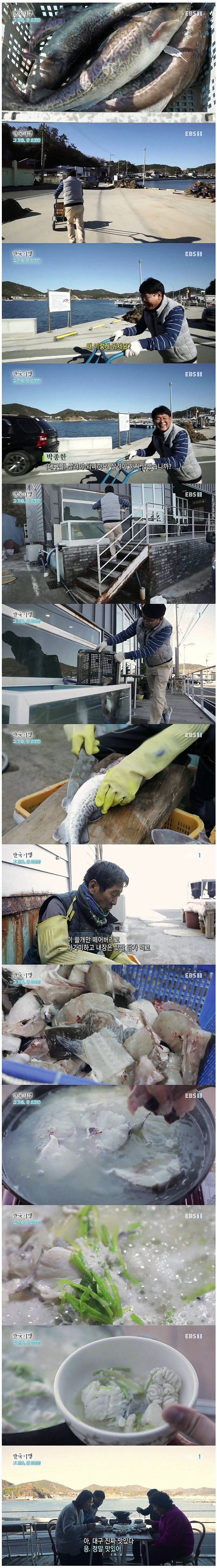 생명은 소중하다 무조건 살려야한다 뛰어