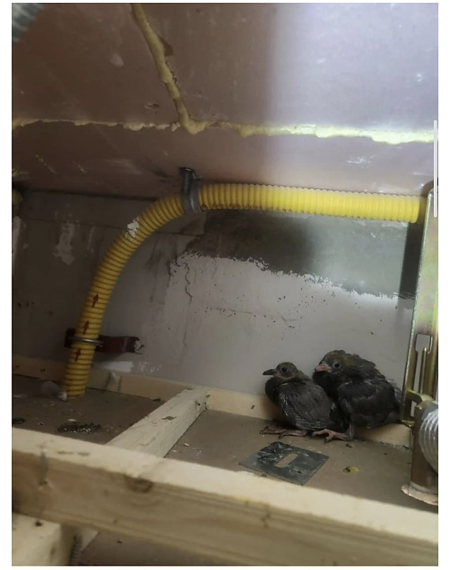 신축 아파트 하자 근황