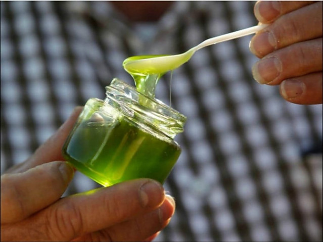 푸른 색과 초록색의 벌꿀