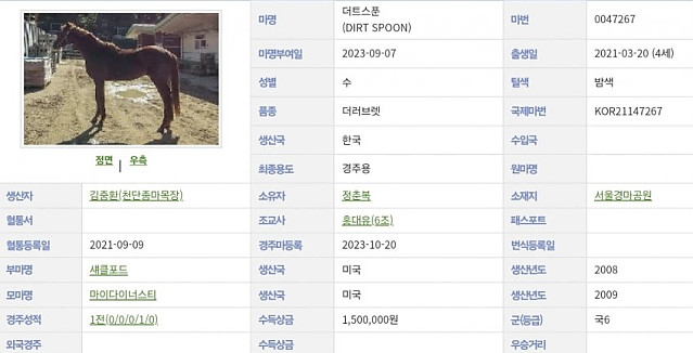 어떻게 진짜 이름이 흙수저(경주마)