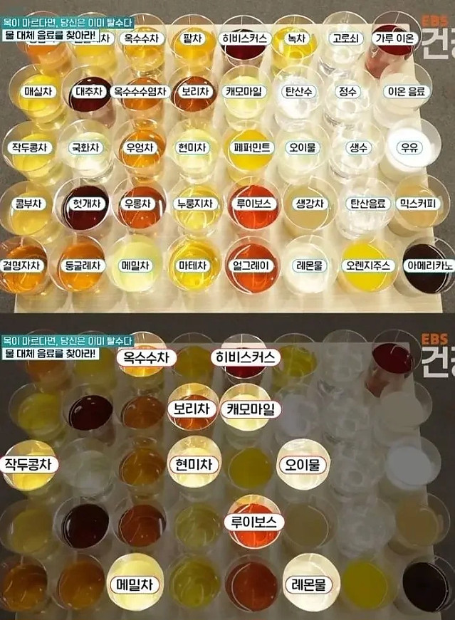 물 마시듯 마셔도 되는 것