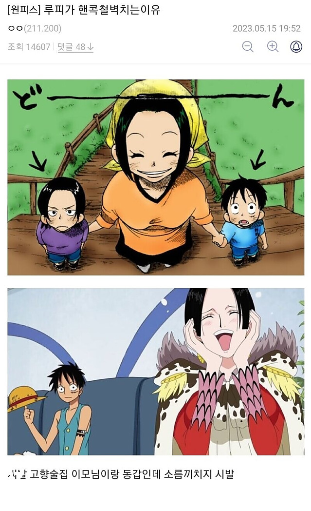 [원피스] 루피가 핸콕한테 철벽 치는 이유