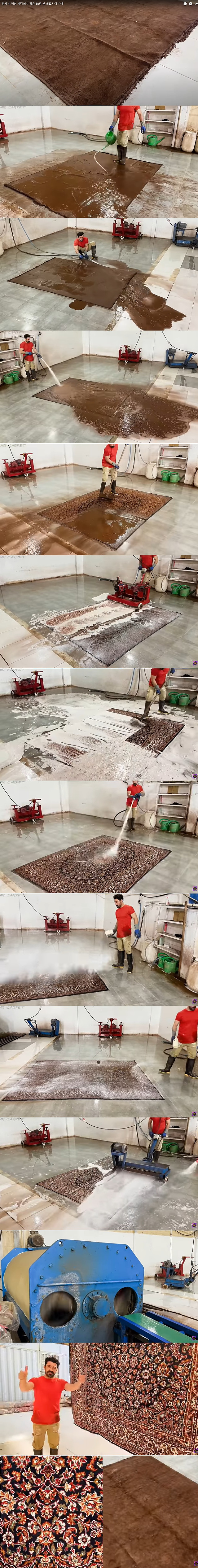 60년동안 빨지않은 카페트 세탁하기