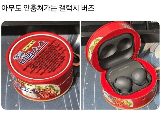 도난방지 스킨(확률 50%?)
