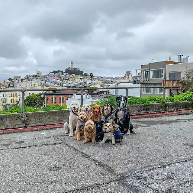 가이드 양반이 참 친절하네 사진도 찍어주고 말야