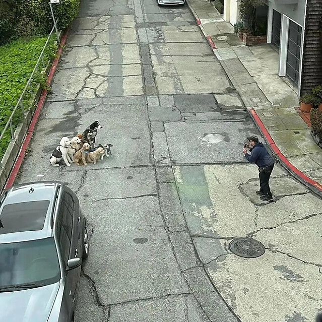 가이드 양반이 참 친절하네 사진도 찍어주고 말야