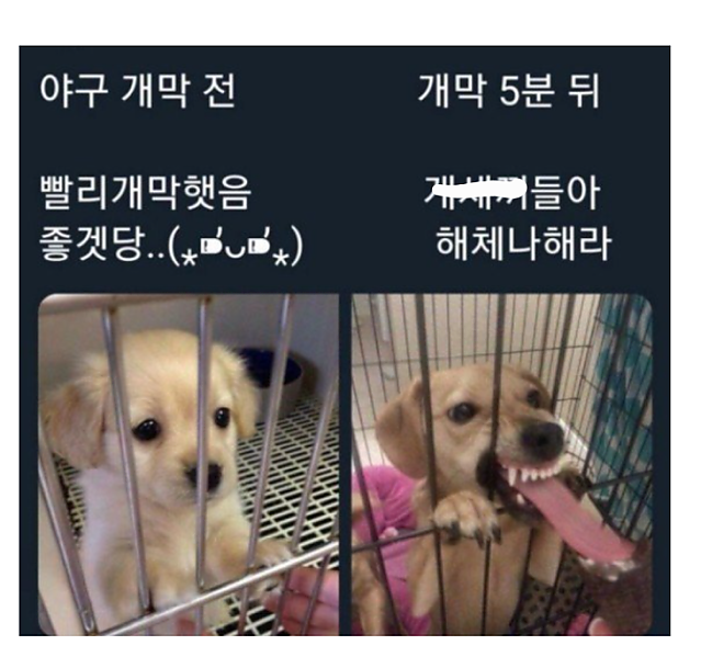 오늘 야구팬 절반이 느끼고 있을 감정