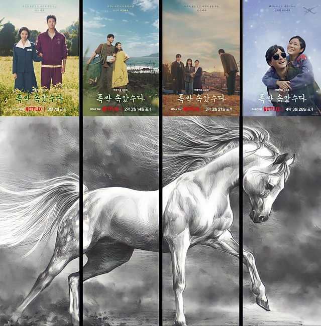 드라마 '폭싹 속았수다' 평가짤