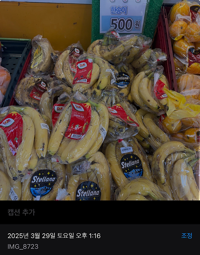 바나나 한송이 천원에 팝니다