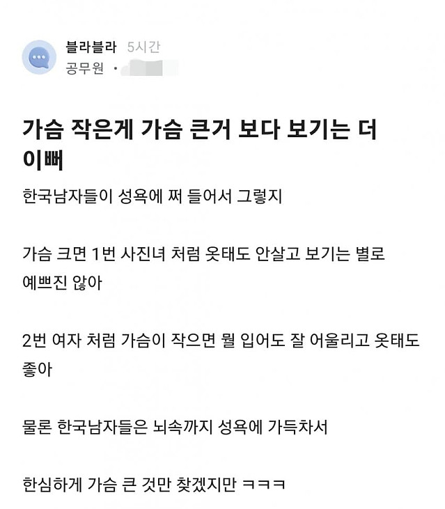 가슴 작은 게 더 보기 좋다는 블라인드