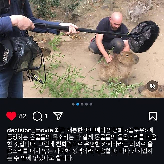 영화 촬영 때문에 카피바라 괴롭힌 제작진