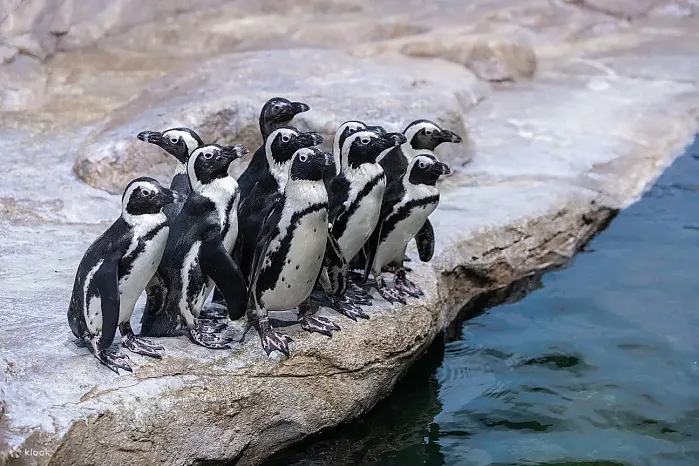 하노이 롯데월드 아쿠아리움