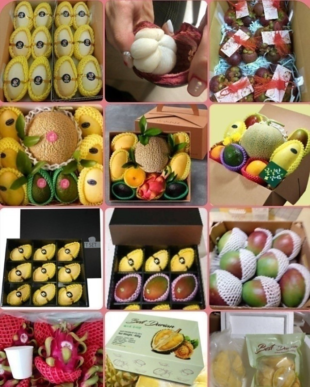 싱싱과일 베트남 열대과일 한국배송 (베트남/한국전지역)