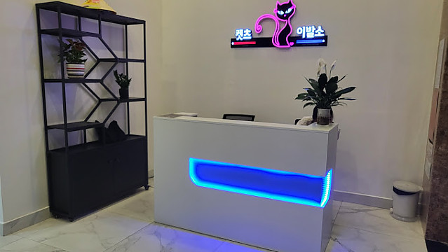 캣츠 이발소(7군)